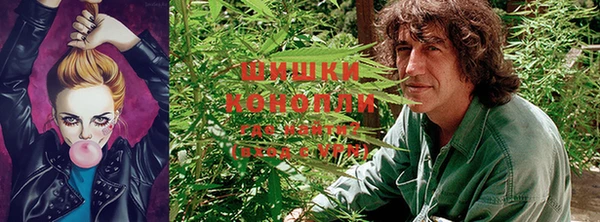 Альфа ПВП Кукмор