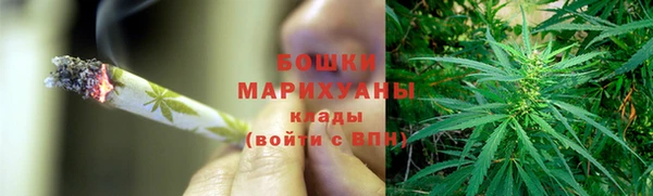 твердый Арсеньев
