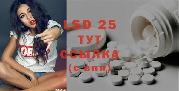 прущие грибы Армянск