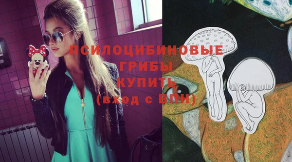 Альфа ПВП Кукмор