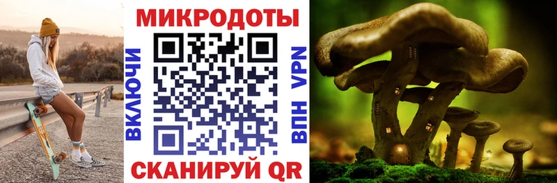Псилоцибиновые грибы Cubensis  blacksprut сайт  Чёрмоз 