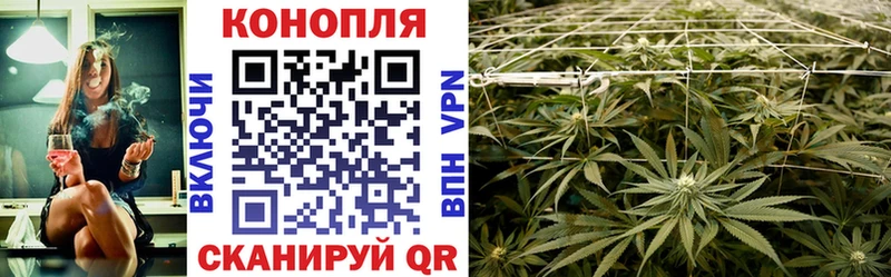 Шишки марихуана индика  hydra сайт  Чёрмоз  купить наркотик 